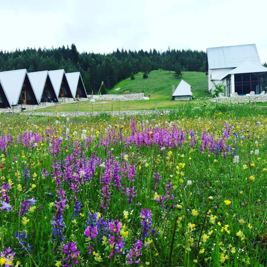 Eco Village Pavlovic Žabljak Εξωτερικό φωτογραφία