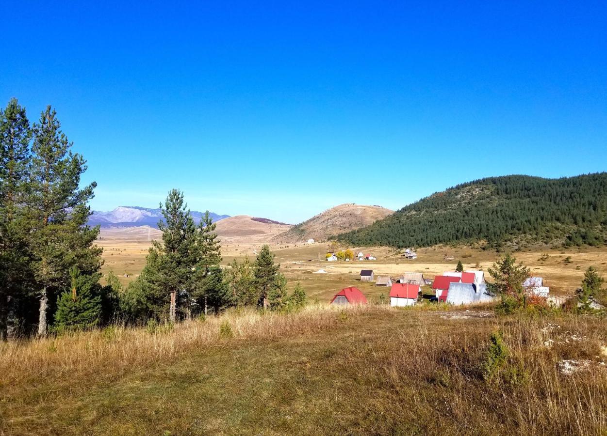 Eco Village Pavlovic Žabljak Εξωτερικό φωτογραφία